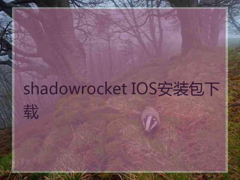 shadowrocket IOS安装包下载