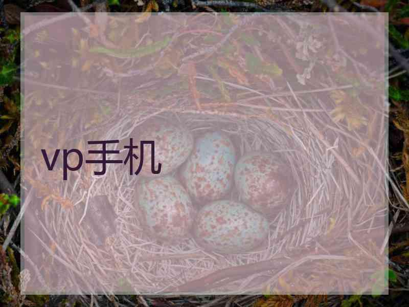 vp手机