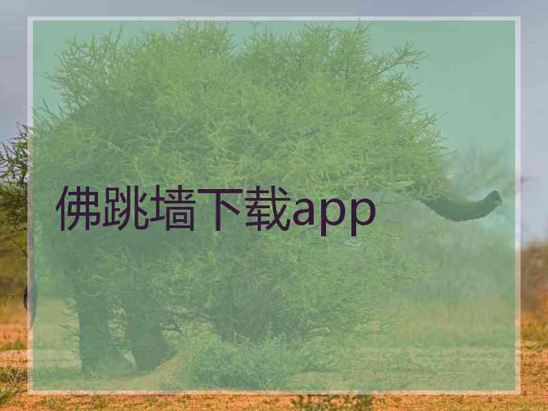 佛跳墙下载app