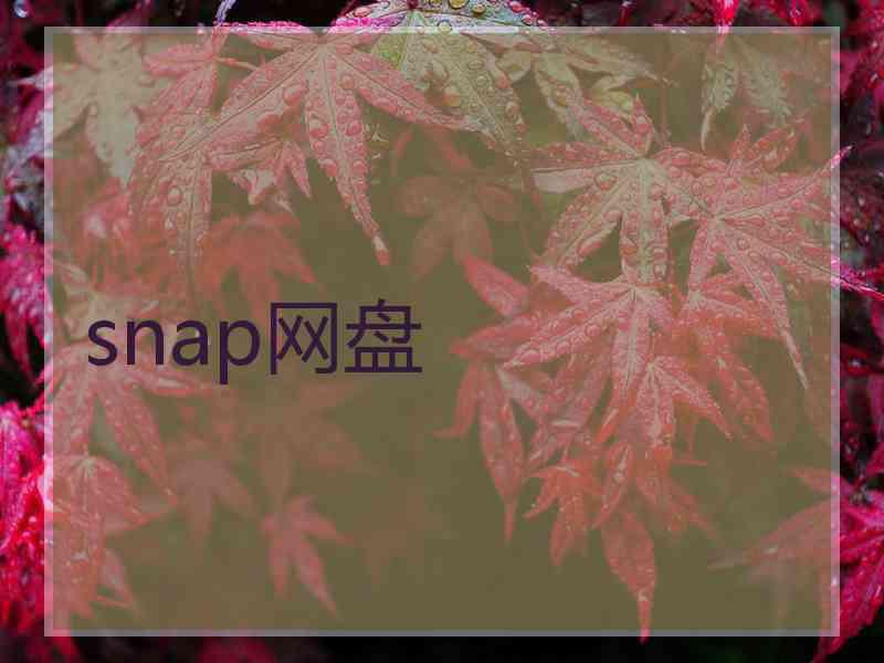 snap网盘