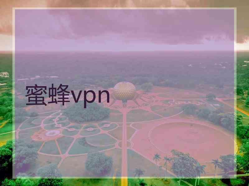 蜜蜂vpn