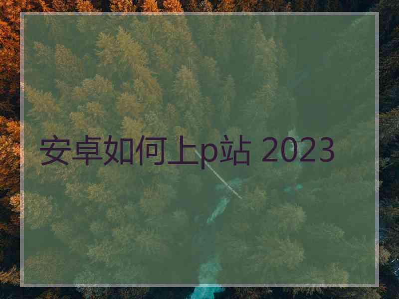 安卓如何上p站 2023