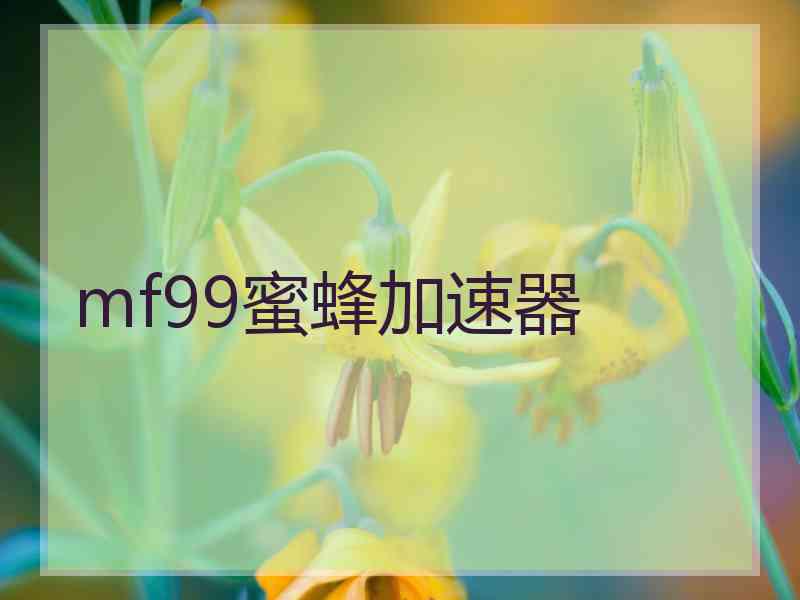 mf99蜜蜂加速器