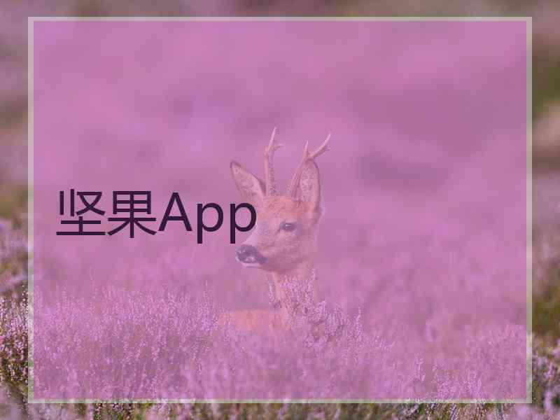 坚果App