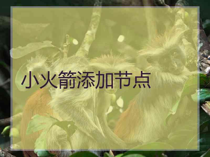 小火箭添加节点