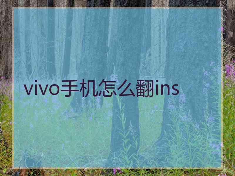 vivo手机怎么翻ins